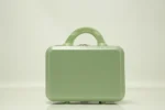 small luggage green color